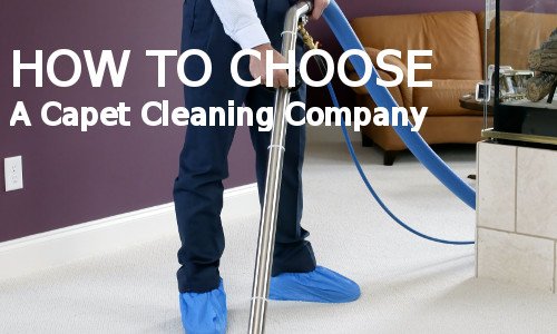Best Carpet Cleaning North Bay Upholstery Eco Friendly Scent Binx Professional