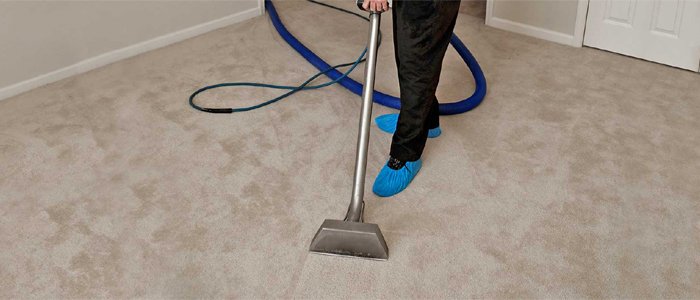 Carpet Cleaning House Business Office Dependable Affordable Best Binx North Bay
