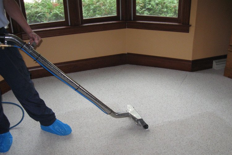 Home Carpet Cleaning North Bay Residential Inexpensive Best