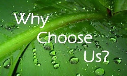 Why Choose Binx Carpet Cleaning North Bay Professional Affordable